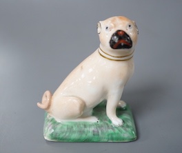 A Derby pug dog of large size, c.1810-30, naturalistically painted, sitting on his haunches incised mark for Isaac Farnsworth 8cm